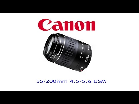 Video thumbnail for Video Review 1