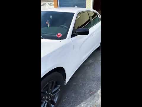 2019 Dodge Charger with Go Rhino push bar