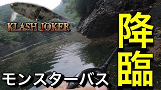 【雨の池原ダム】水面からロクマルオーバーのモンスターが襲いかかる！！