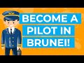 Pilot Training How To Become A Pilot In Brunei