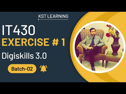 IT430 Startup Strategies & Entrepreneurship | Digiskills 3.0 Batch-02 Exercise No. 1 Solution