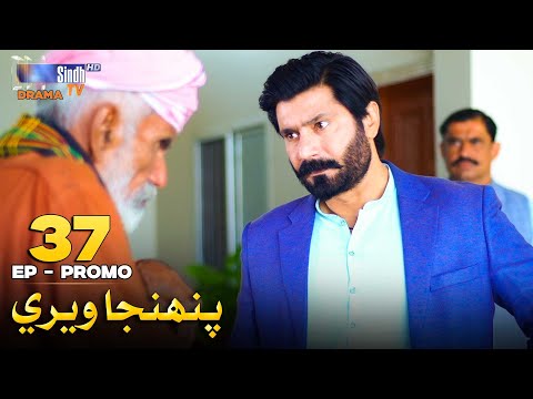 Pahinja Weri Episode 37 Promo | Soap Serial | SindhTVHD Drama