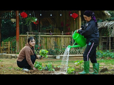 The planting season has begun: May and her grandmother are planting many new kinds of plants.