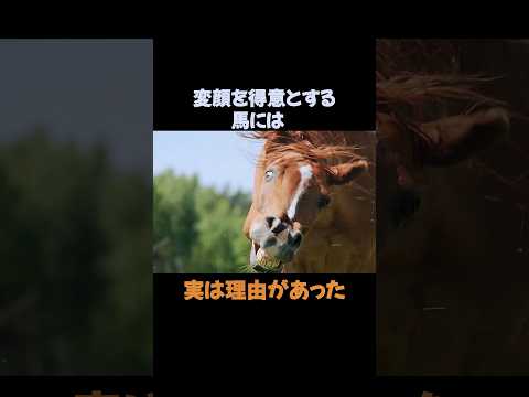 種を守るための鼻