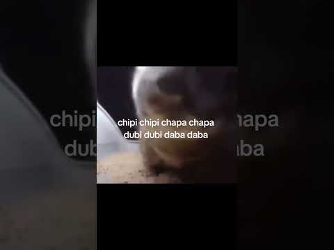 chipi chipi chapa chapa