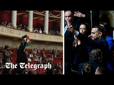 French MP suspended after raising Palestinian flag in parliament session