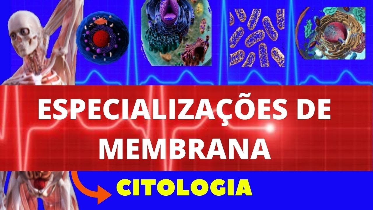 ESPECIALIZAÇÕES DE MEMBRANA PLASMÁTICA - CITOLOGIA - ENSINO SUPERIOR - MEMBRANA PLASMÁTICA
