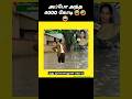 4000 கோடி கோவிந்தா கோவிந்தா Chennai Rain Chennai Mayor Priya