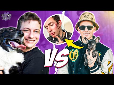 Dog Trainer Drama: Zak George vs The Dog Daddy