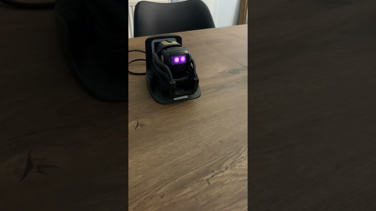 Vector battery check SDK Python script