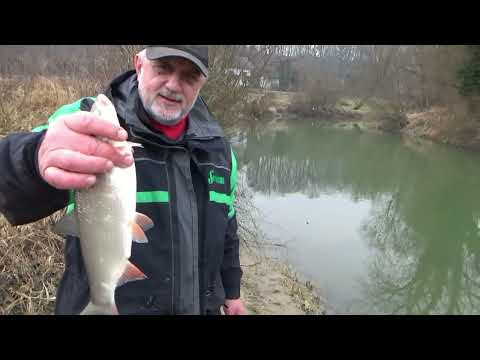 FEEDEROM NA RIJECI SUTLI - Ninoslav Žagar