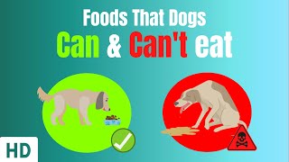 Foods That Dogs Can And Can
