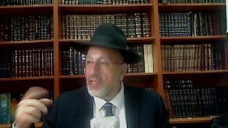 Le Mikve selon Rabbenou