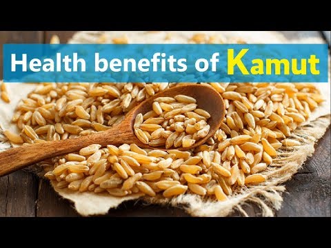 download lagu mp3 mp4 Kamut Grain Health Benefits, download lagu Kamut Grain Health Benefits gratis, unduh video klip Kamut Grain Health Benefits