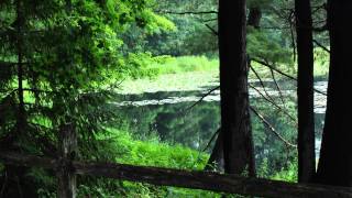 Sandi Kimmel - "Love Mother Earth"