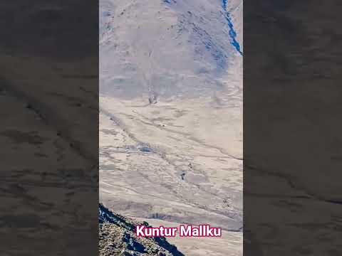 CONDOR EN VUELO 🌵🕊 #condorenovation #andes #viralreels #viralvideo #viralshorts