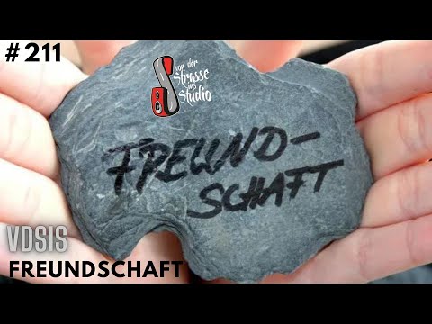 Skybro Bewertet - VDSIS - ❤️Freundschaft❤️ (official Musikvideo) VDSIS #211