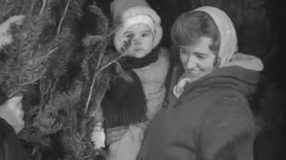 &quot;A Winter Tale&quot;   Chaim Tannenbaum