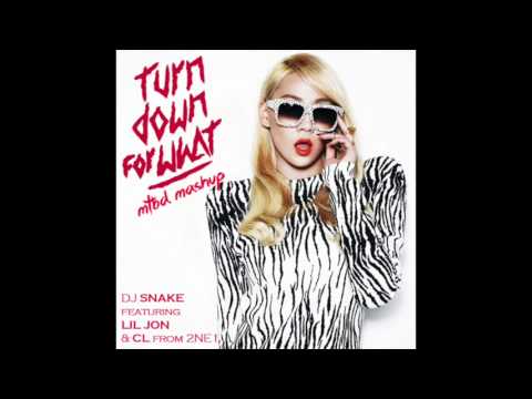 CL x DJ Snake & Lil Jon - MTBD x Turn Down For What (Mashup)