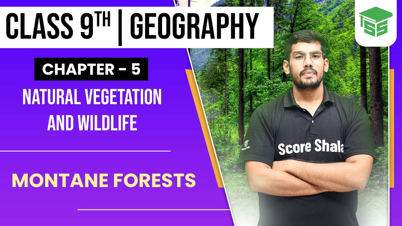 Montane Forests - Class 9 || Natural Vegetation and Wildlife || Geography Chapter 5