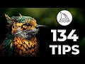 134 Of My BEST Midjourney Tips From 2024