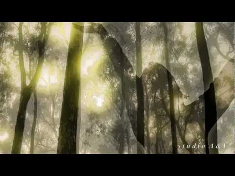 Ivan Puljić - Pjesma radosti