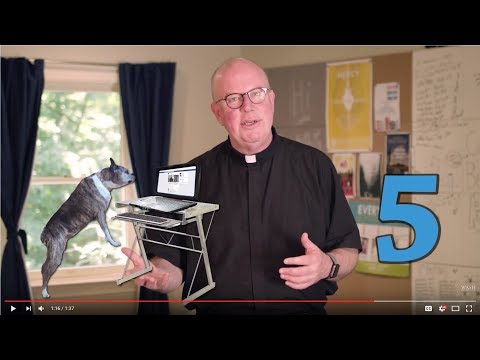5 Things I Learned from My Dog | 5 Things with Fr. Bill Byrne