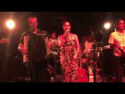 Raiz do Sana - Metáfora