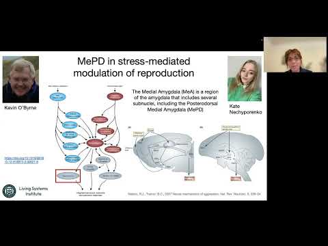 QLS/CAMBAM Seminar - Krasimira Tsaneva-Atanasova - October 29 2024