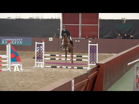 Okawango, OS, Hengst, v. Ogano Sitte - Cornet Obolensky, * 2018