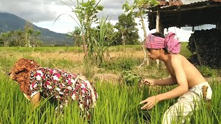 Download lagu LAWAK KARO TERBARU | KORBAN ND TIGAN , DILAKI PE NGO AKAP NA DIBERU mp3 Download lagu LAWAK KARO TERBARU | KORBAN ND TIGAN , DILAKI PE NGO AKAP NA DIBERU mp3