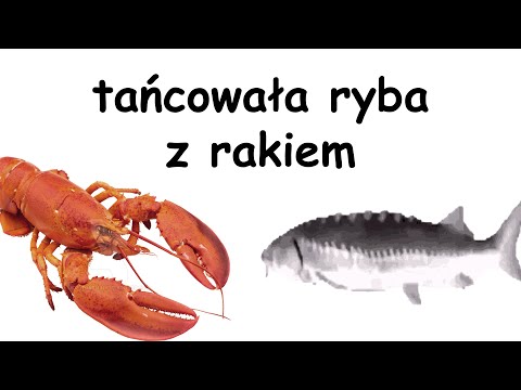 tańcowała ryba z rakiem
