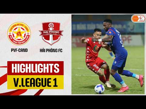 bg-highlight