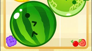 【スイカゲーム😗角ぶどう🍇から久しぶりにハイスコア更新‼️】