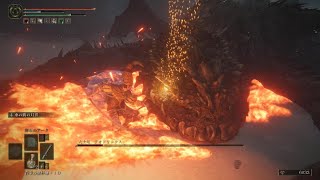ELDEN RING 大土竜テオドリックス(巨人たちの山嶺)