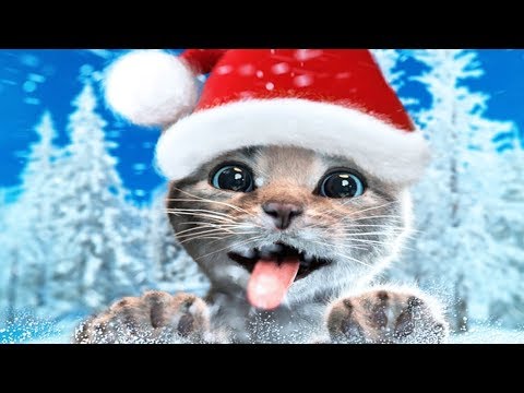 Little Kitten Adventures - Fun Pet Costume Dress Up Party With Kitten - Fun Learning Games For Kids