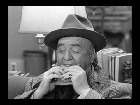 I Love Lucy | Lucy constantly changing her mind and never finishing anything