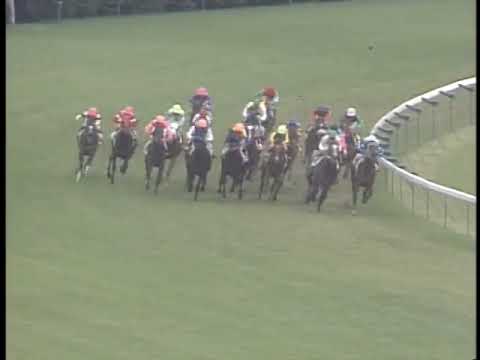 Special Week - The 65th Nippon Derby !