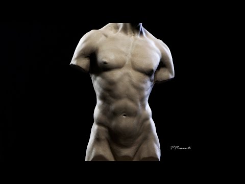 Sculpting a Male Torso