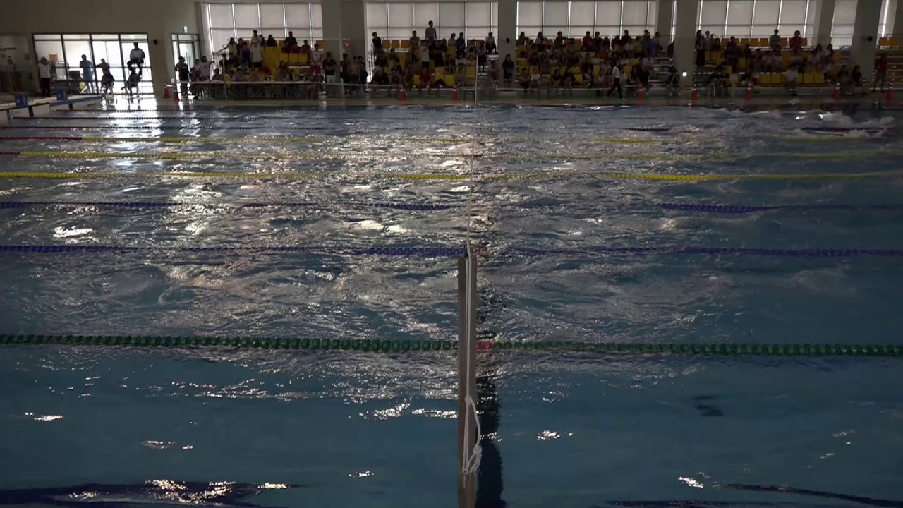 제29회 전국종별핀수영선수권대회 남자 일반부 표면 100m 결승