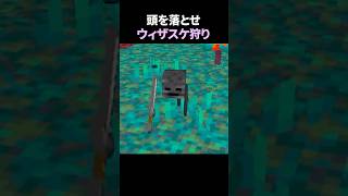 ウィザスケ倒しまくって頭を手に入れろ！！