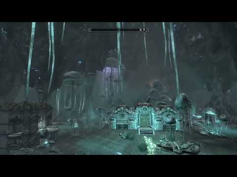 "BlackReach Look Absolutely Beautiful!!!.....On The First Time"