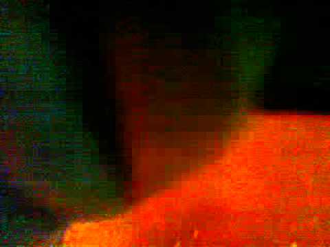 alimanesti foc de artificii