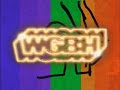 PBS Station Identification 2002 2004 2005 2008 2009 WGBH TV