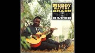Music video thumbnail preview for Muddy Waters - Hard Loser by Muddy Waters