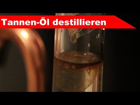 🌷 Tannen-Nadeln destillieren 🌻 - ätherisches Öl selber machen - diSTILLed