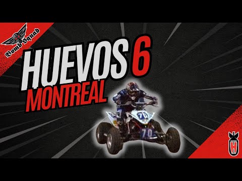 Huevos 6 MONTREAL
