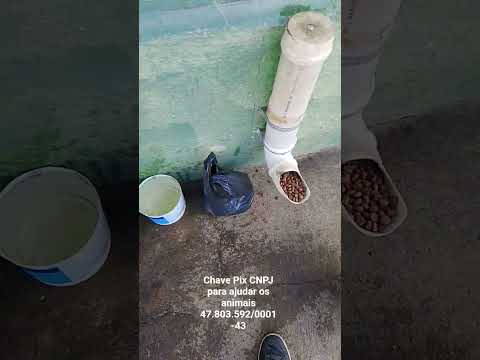 15 de março de 2026