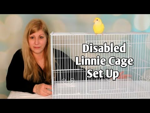 Cage set up for a senior disabled small parrot
