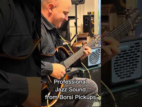 Borsi Pickups for Yamaha SLG 200S